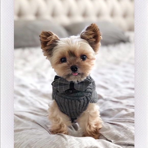 🖤 Meet your Posh Ambassador - Picture 8 of 10